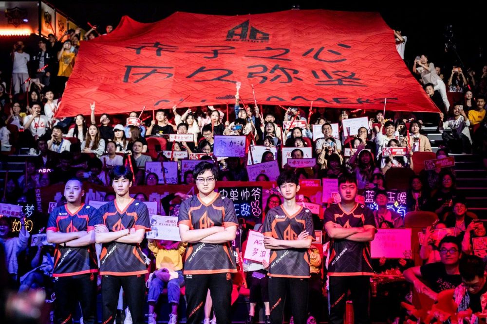 是灰熊迈向